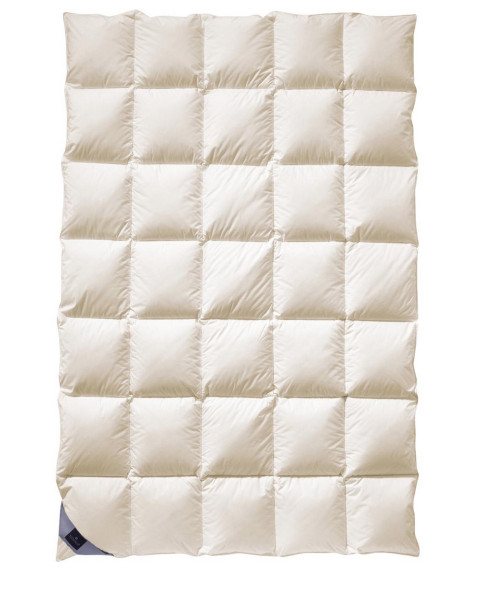 Billerbeck Exclusiv Daune 105 Marquesa Superlight