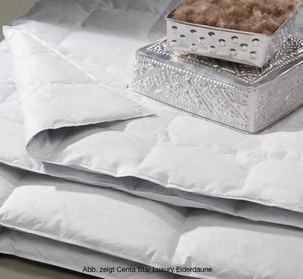Centa Star Luxury Eiderdaunen Kassettenbett leicht Sommerbett