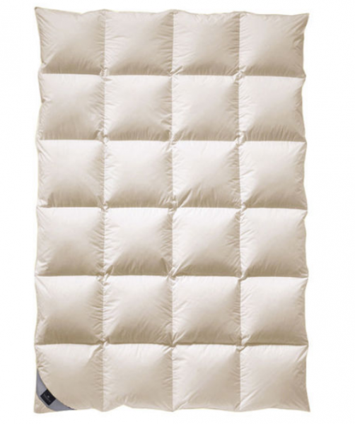 Billerbeck Exclusiv Daune 105 Marquesa Kassette IV