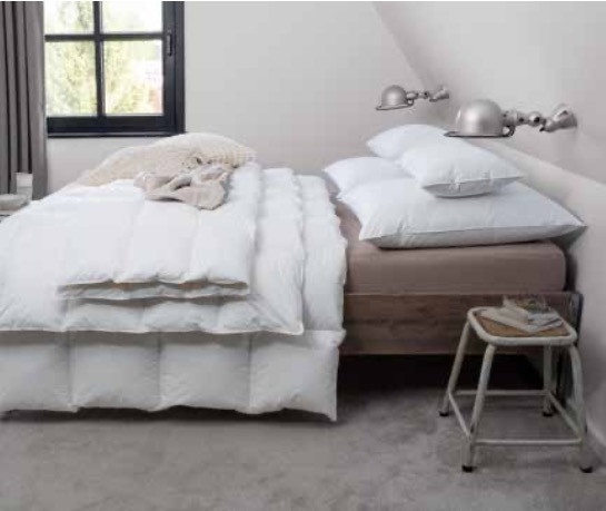 Centa Star Heaven Dauneneinziehdecke Ganzjahresdecke