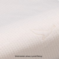 Vorschau: Werkmeister K L14 Talalay Latex Nackenstützkissen Vorschau: Werkmeister K L14 Talalay Latex Nackenstützkissen